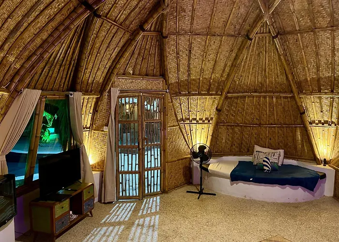 Nimo Bamboo